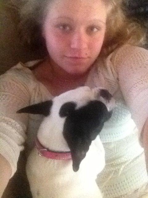 Fransk bulldog Denga billede 14