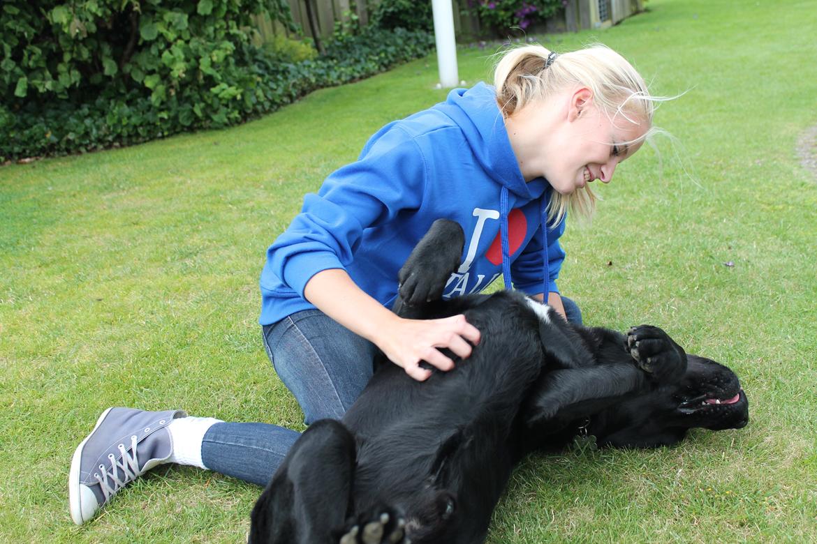 Labrador retriever Albert<3 - You haven't lived, until you've found something worth dying for. billede 18