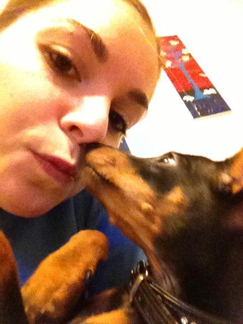 Dvaergpinscher Kovo - Mys mor mys billede 9