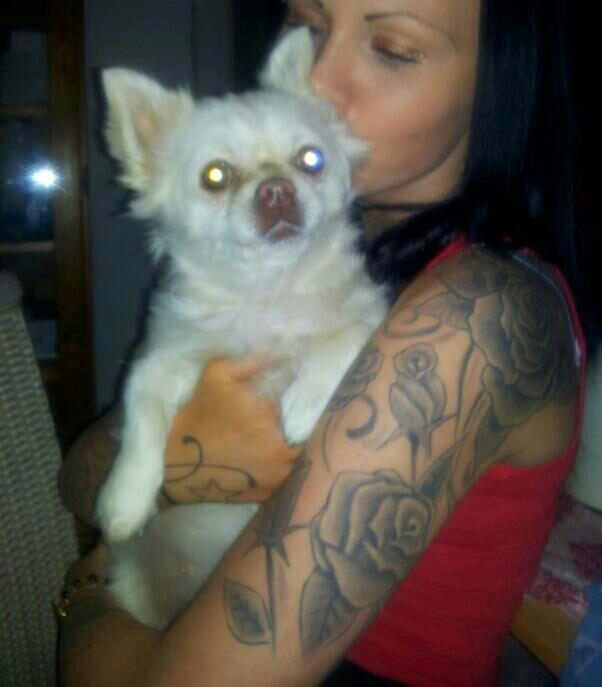 Blanding af racer Nulle billede 4