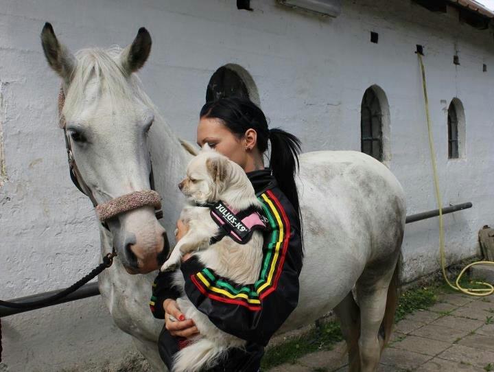 Blanding af racer Nulle billede 8