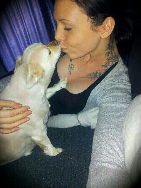 Blanding af racer Nulle billede 13