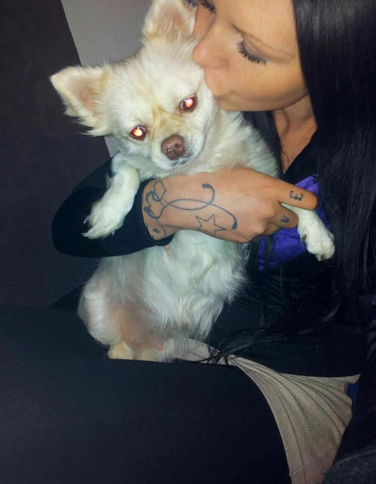 Blanding af racer Nulle billede 3