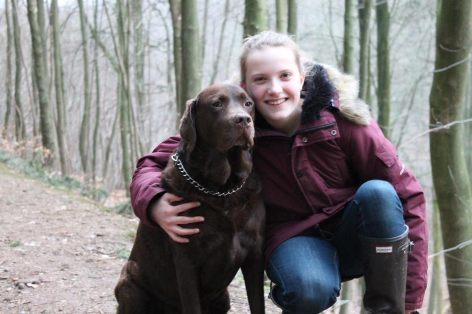 Labrador retriever Louie - Skovtur med Louie billede 33