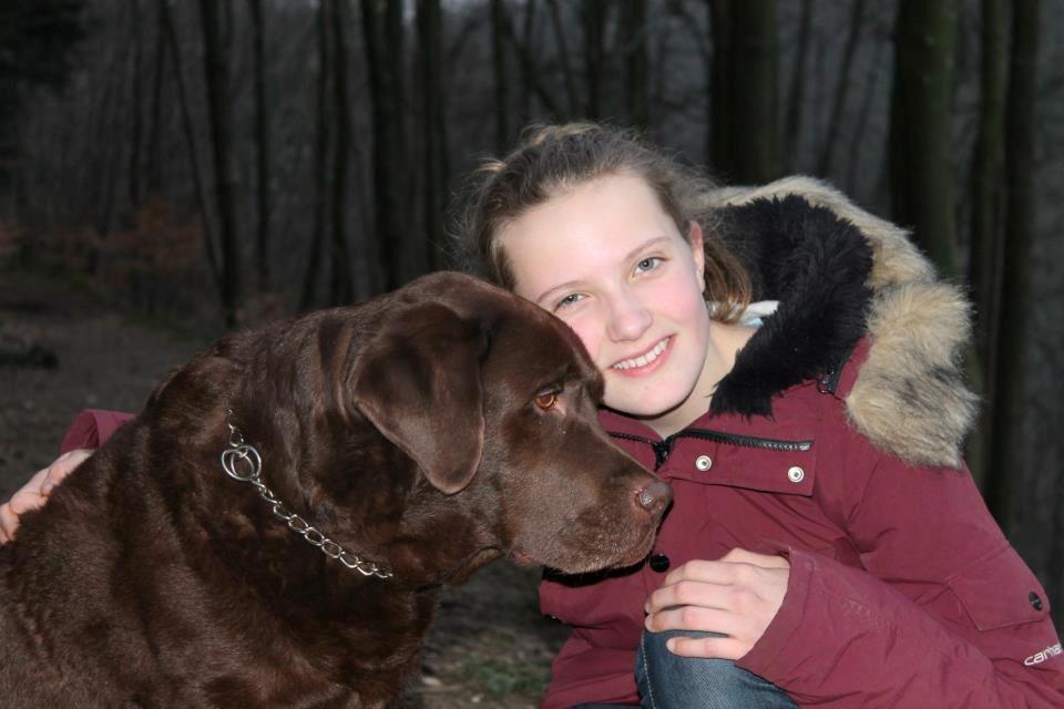 Labrador retriever Louie - Skovtur med Louie  billede 12