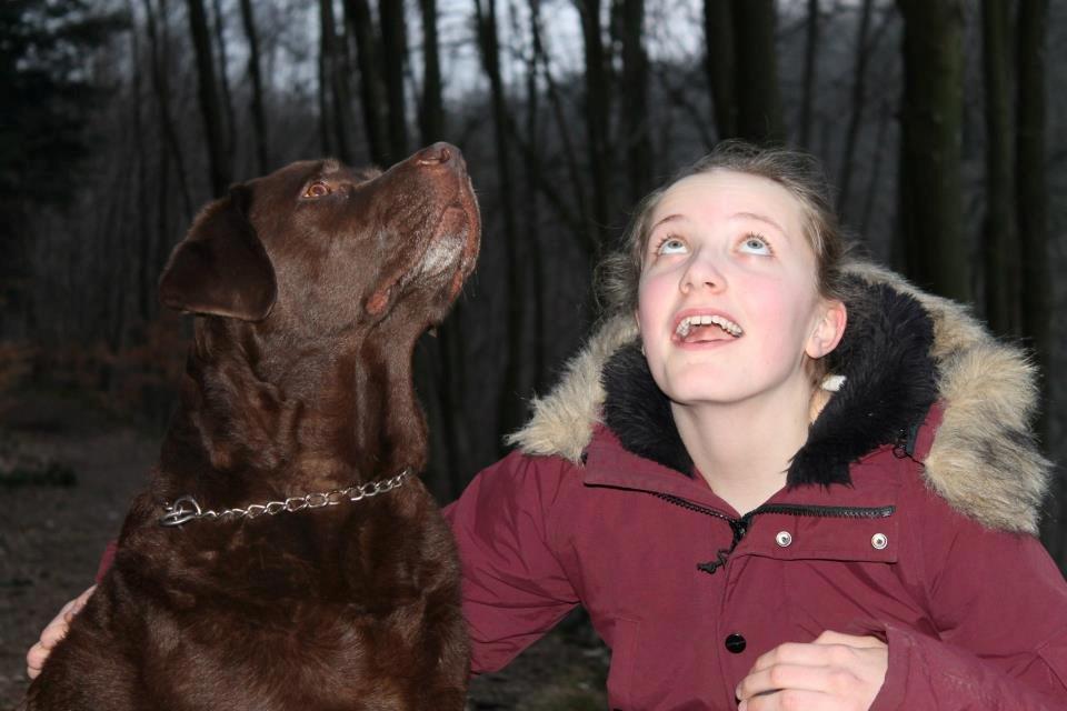 Labrador retriever Louie - Skovtur med Louie billede 8