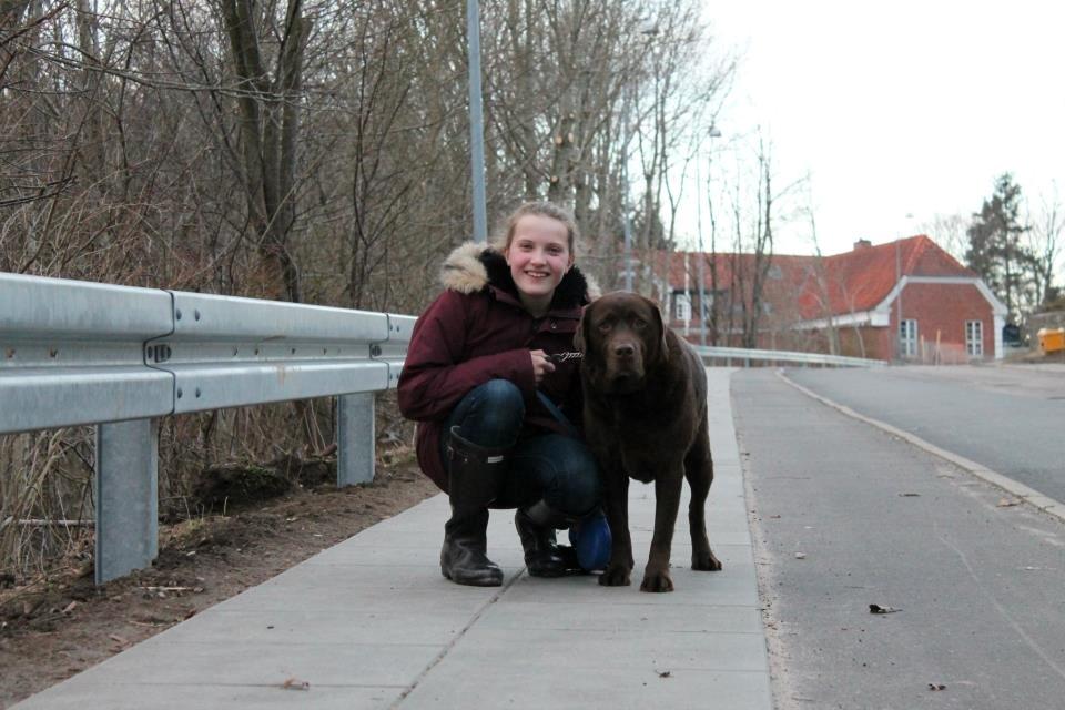 Labrador retriever Louie - Skovtur med Louie billede 35