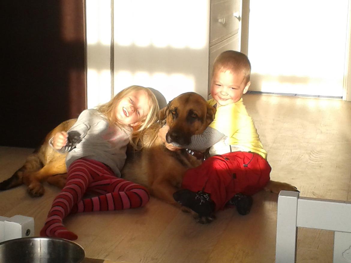 Blanding af racer Maggi billede 1