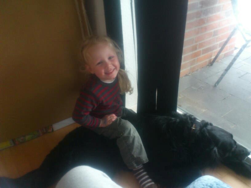 Flat coated retriever Basse (Egon) - Jeg elsker børn så meget at de bare må kravle rundt på mig billede 6