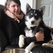 Blanding af racer Nala