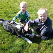 Blanding af racer Nala