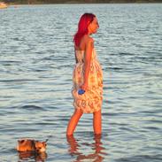 Blanding af racer (Chihuahua/Mops)