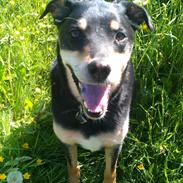 Blanding af racer Mikkel