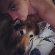 Collie langhåret Blanca