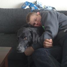 Blanding af racer Lucky