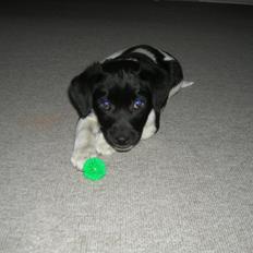 Blanding af racer Plet