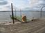 Blanding af racer Labrador retriever + Golden retriever Niels (BV) - En rigtig springer ;o <3