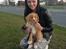 Nova scotia duck tolling retriever Shaggy Tollers White Wood