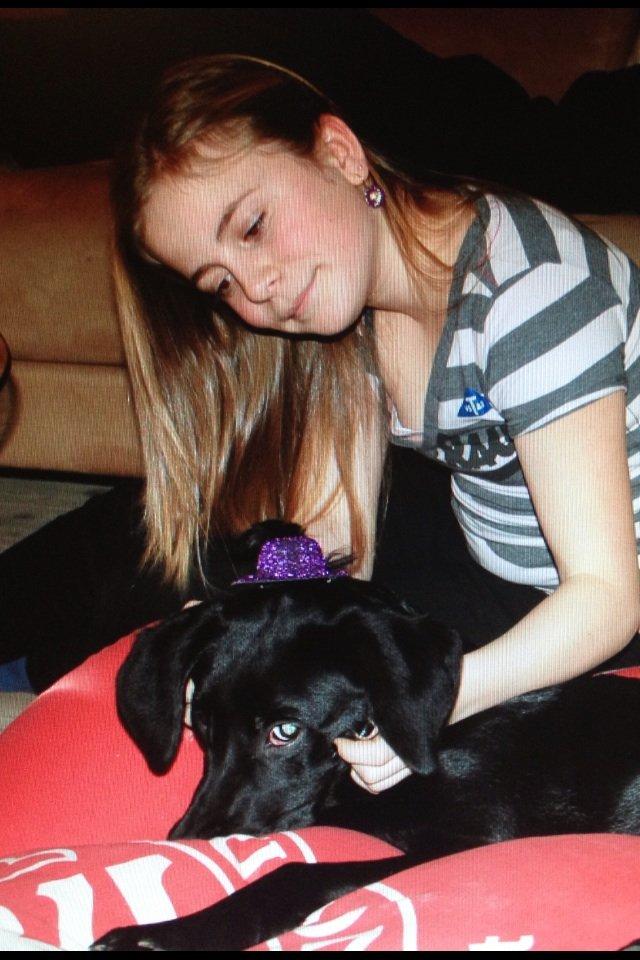 Labrador retriever Blackboys Kenzo - Nytårs aften 2011-2012.. Kenzo fik også lige en hat på<3 billede 12