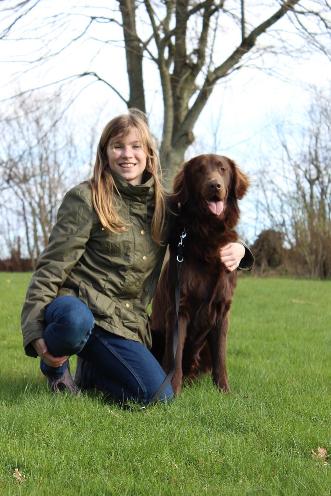 Flat coated retriever Mokka - Smil! :D billede 1