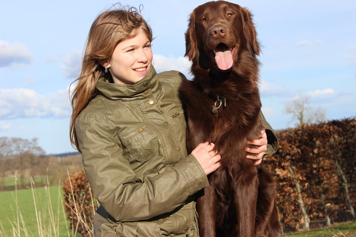Flat coated retriever Mokka - Her er bamsen og mig igen ;) billede 8