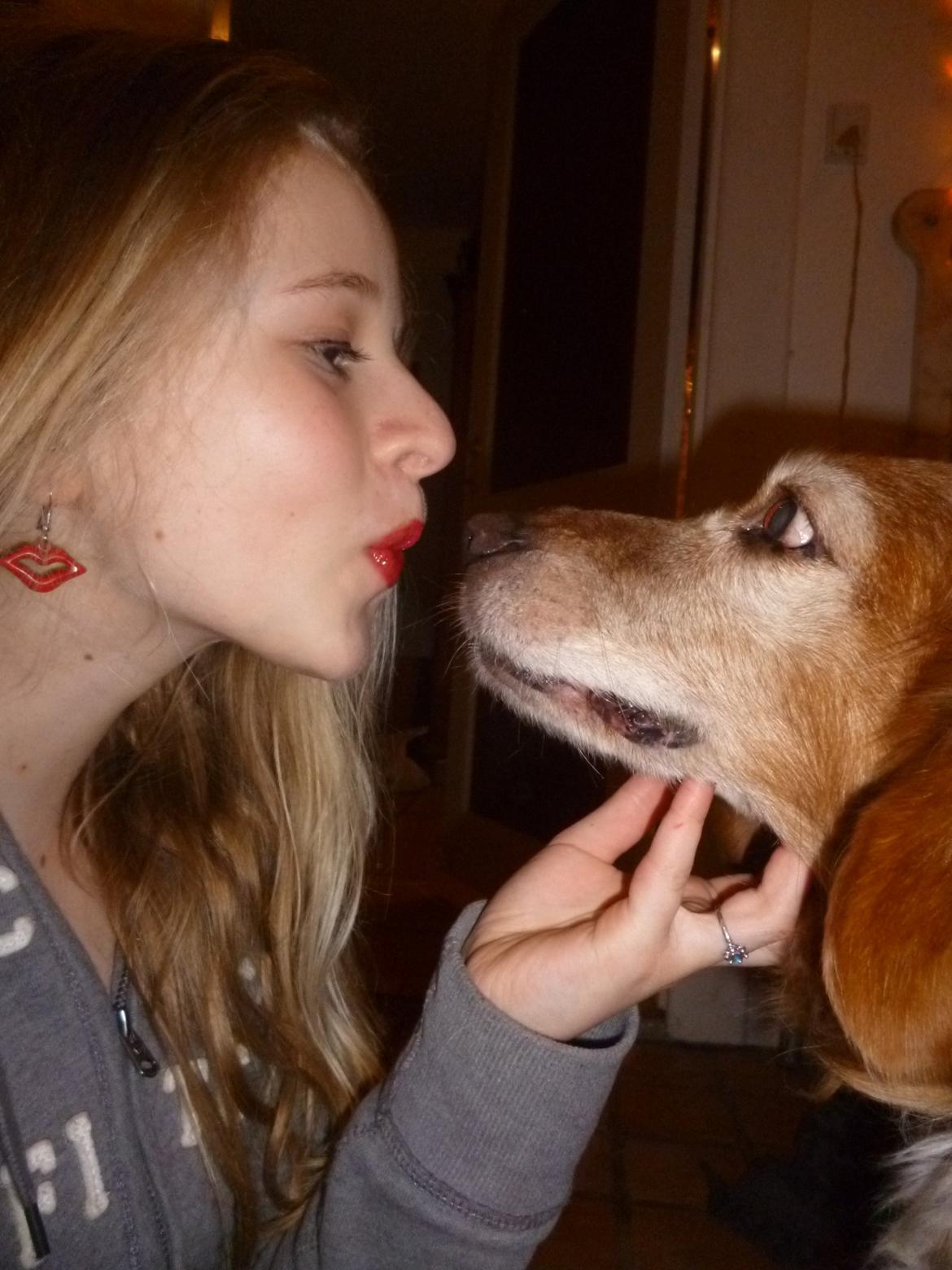 Nova scotia duck tolling retriever Marvin - Marvin, forår 2013 billede 16