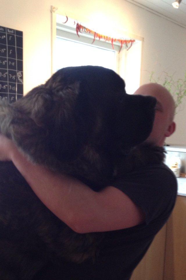 Blanding af racer Frede billede 13