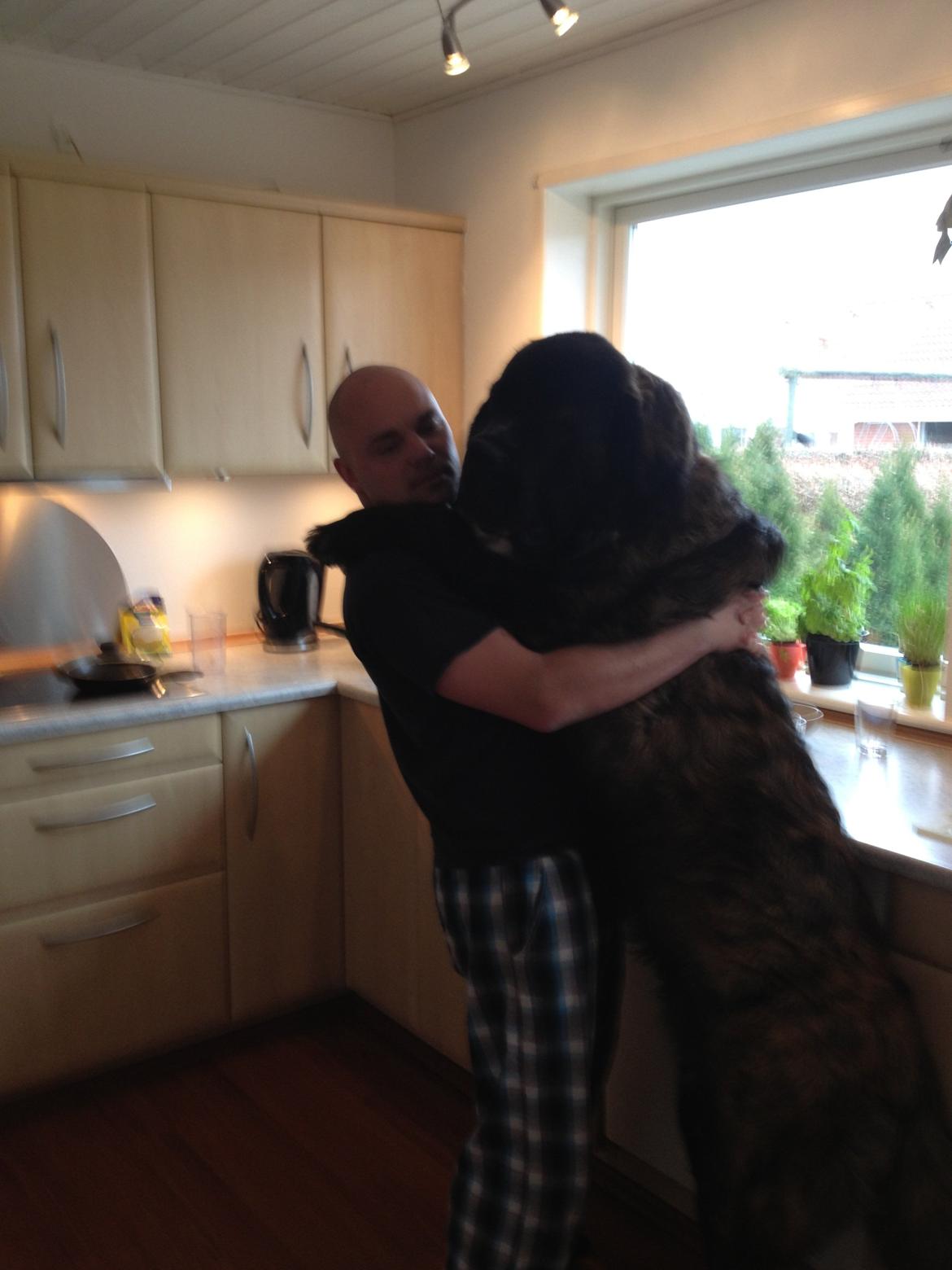 Blanding af racer Frede billede 14