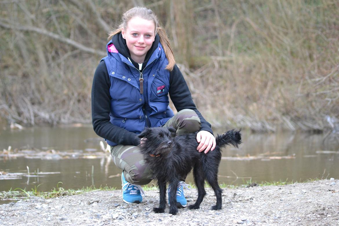 Blanding af racer Kvik <3 billede 15