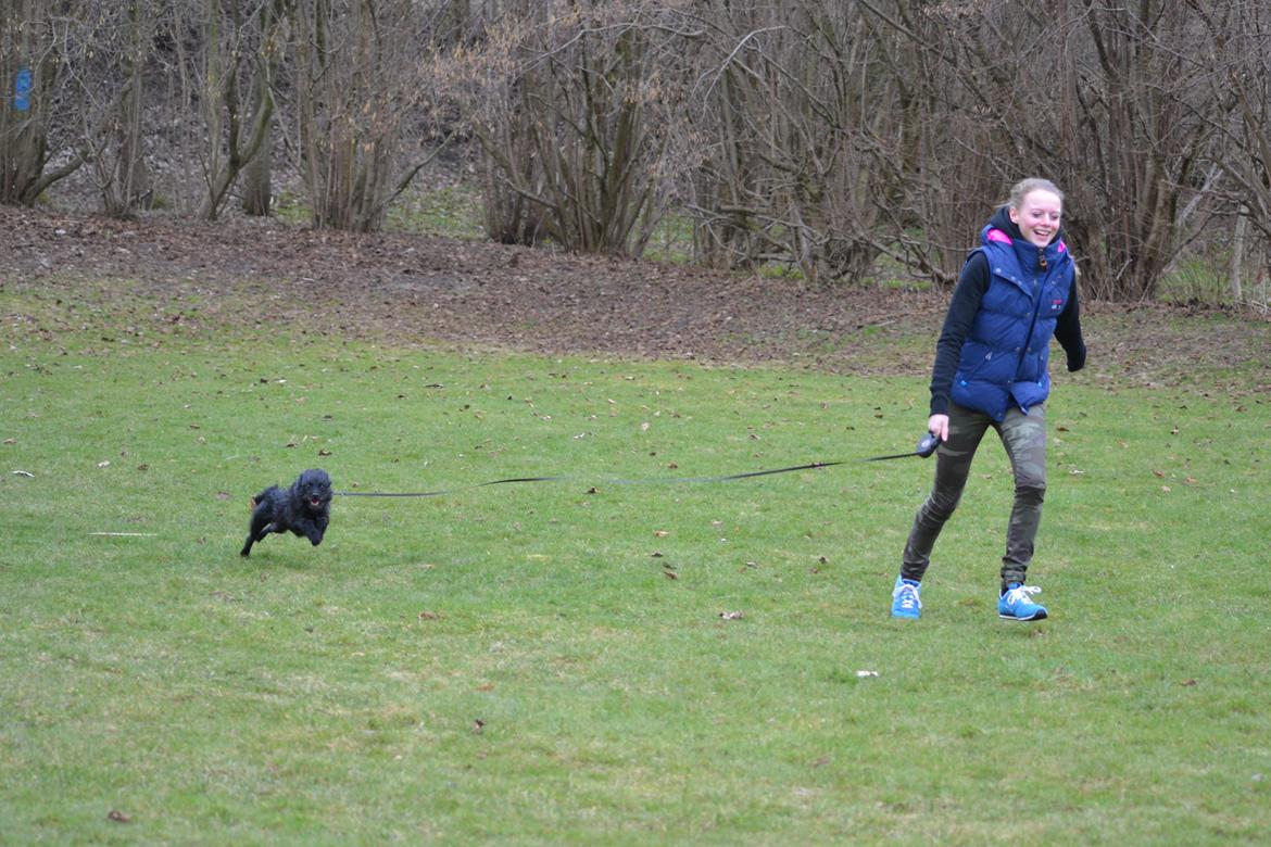 Blanding af racer Kvik <3 billede 16