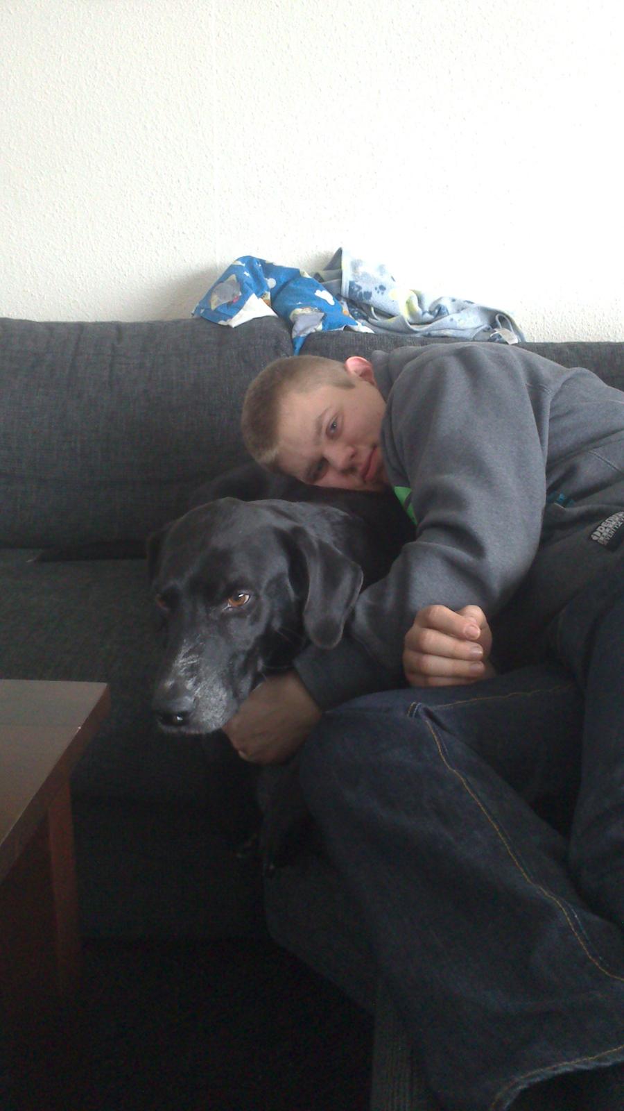 Blanding af racer Lucky billede 3