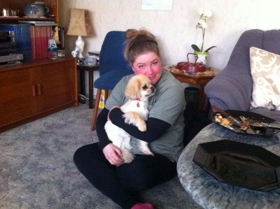 Tibetansk spaniel Sorba billede 7