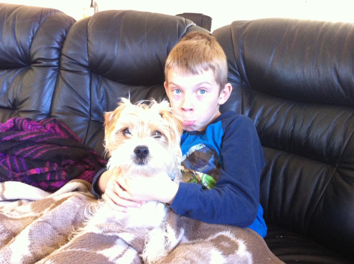 Blanding af racer Thierry Henry billede 2