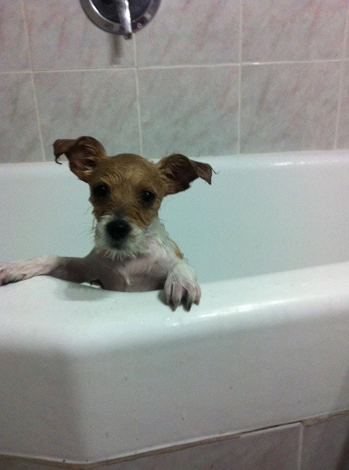 Blanding af racer Thierry Henry billede 4