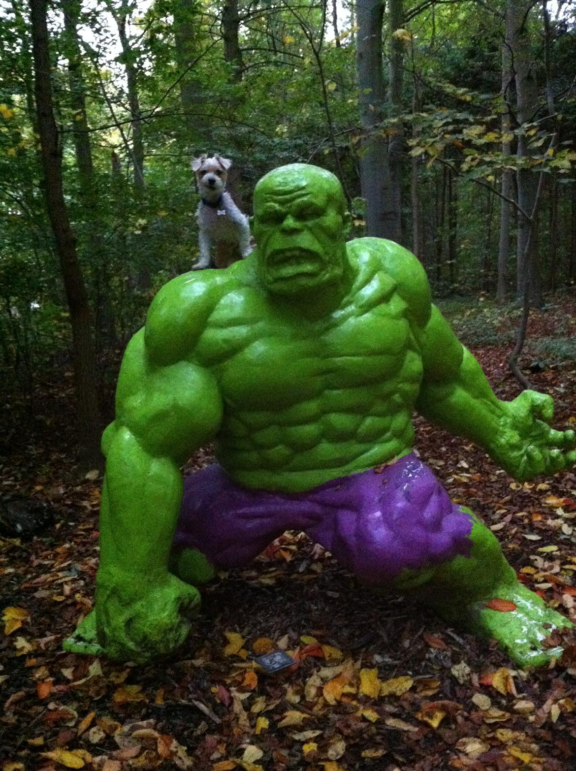 Blanding af racer Thierry Henry billede 10