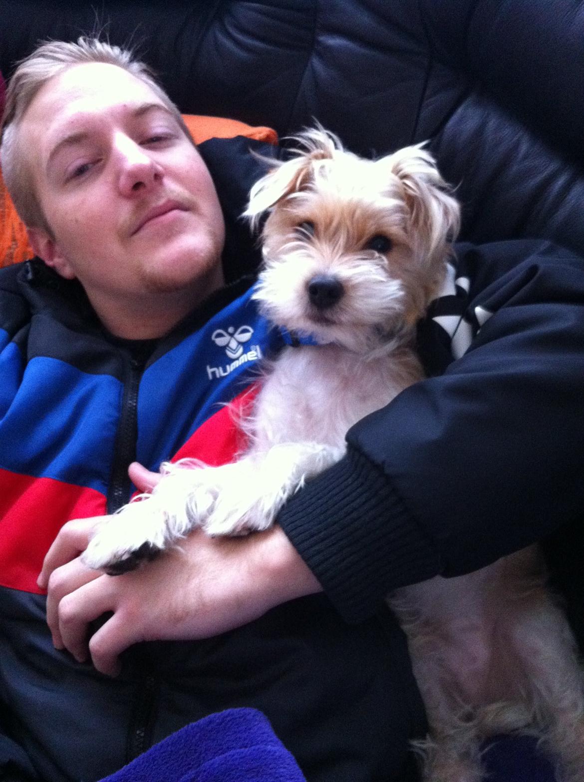 Blanding af racer Thierry Henry billede 19