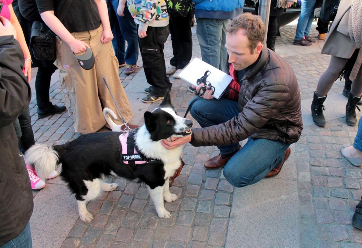 Karelsk bjørnehund Fifi - R.I.P. - 26) Fifi og Lars Bo Lomholt til demonstration mod hundeloven i Odense - Fotograf: Michael Rytter billede 25