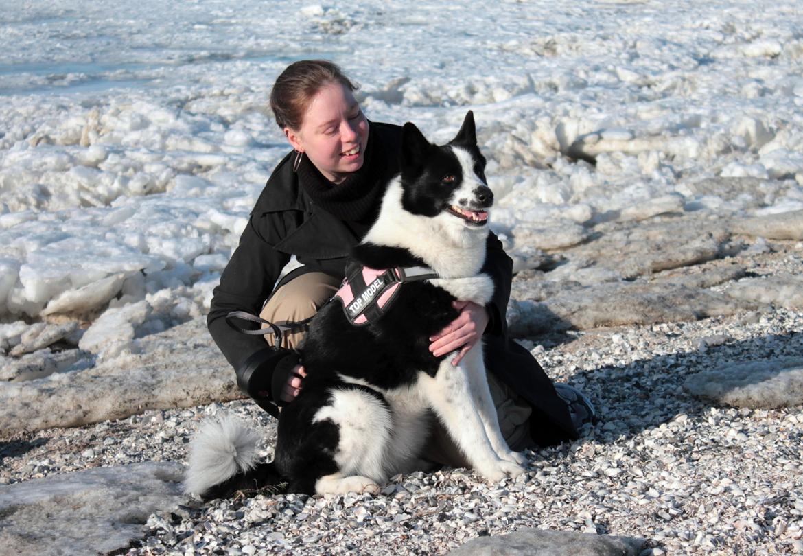 Karelsk bjørnehund Fifi - R.I.P. - 16) Fifi og jeg ved stranden - Fotograf: Michael Rytter billede 16