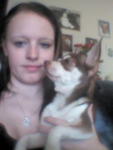 Chihuahua Choko - Mig og min øjesten :) billede 14