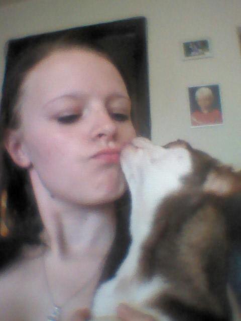 Chihuahua Choko - Mysser :) billede 20