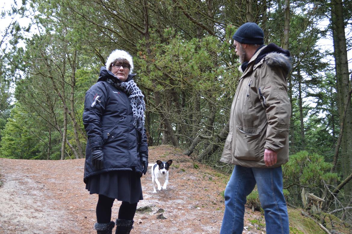 Dansk svensk gaardhund Frida - Mig og min mor og far billede 13