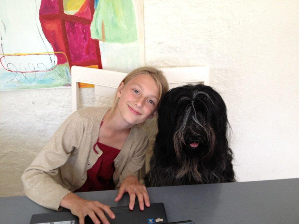 Schapendoes Charlie - My best FREIND! billede 11