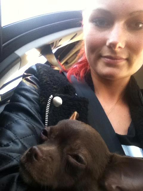 Chihuahua Chicka - Da jeg var oppe og hente prinsessen.  billede 2