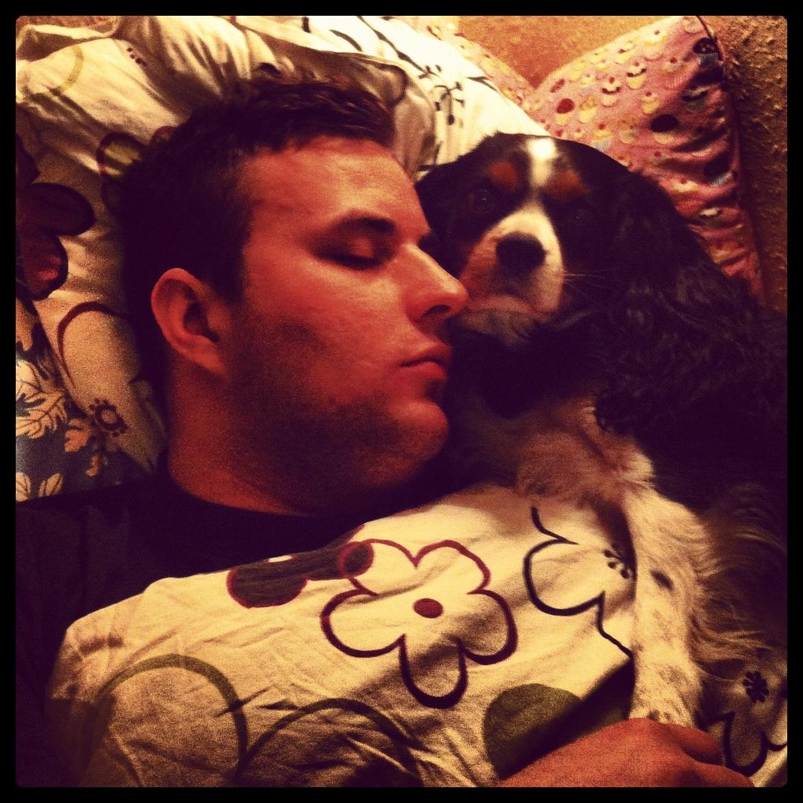 Cavalier king charles spaniel Birkedal's Charlie - Charlie passer på min lækre kæreste Jonas <3 billede 7