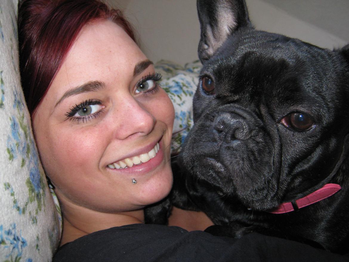 Fransk bulldog Norah billede 14