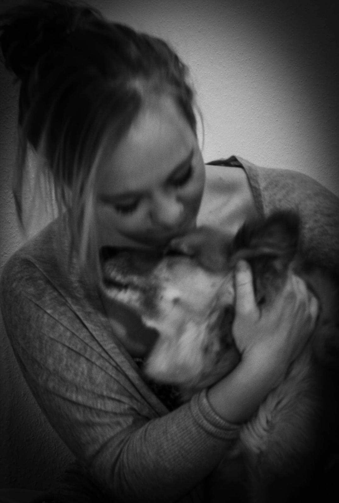 Islandsk fårehund ISHUNDUR'S RAUDKA billede 10