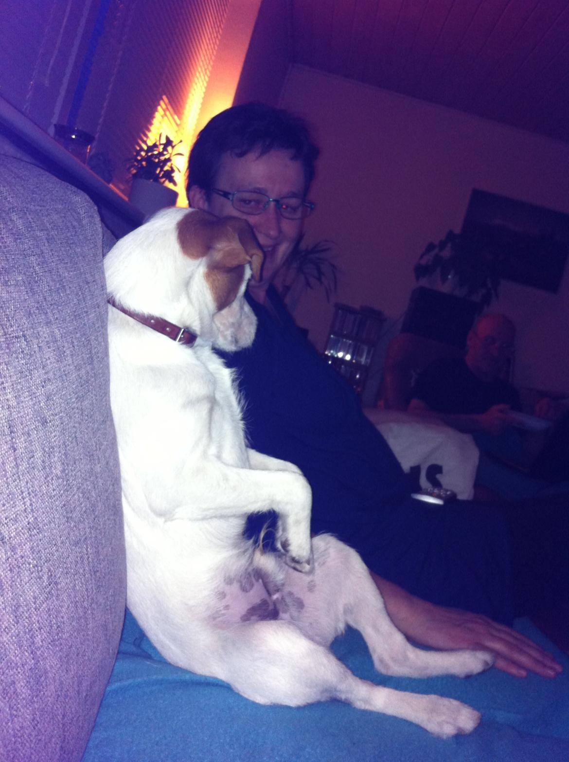 Blanding af racer Charlie!<3 - Undskyld måske lidt genert. billede 2