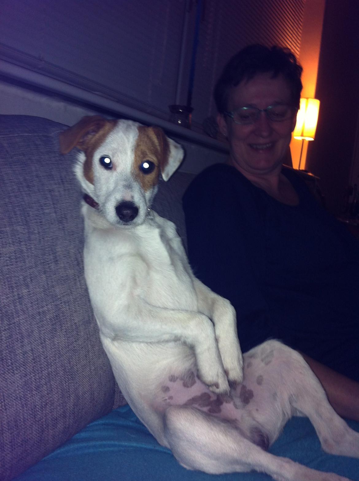 Blanding af racer Charlie!<3 - Goddag med jer. håber i kommer til at lide mig;-) billede 1