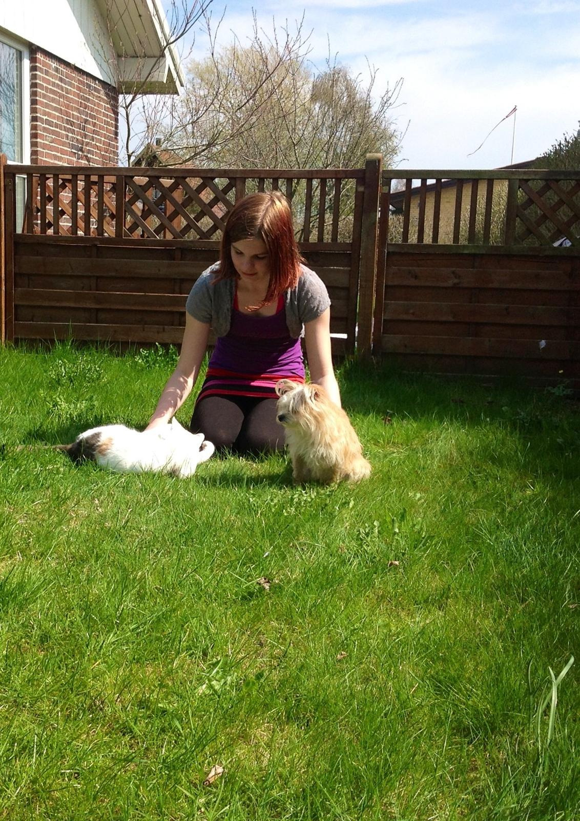 Blanding af racer sussi billede 15