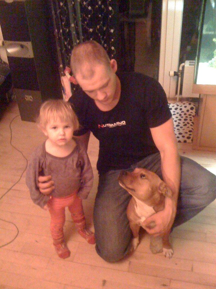 Staffordshire bull terrier Tovdals Tell Me More Milo billede 16